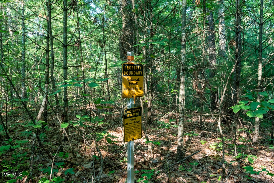 Photo #19: Tbd Patty Branch Road