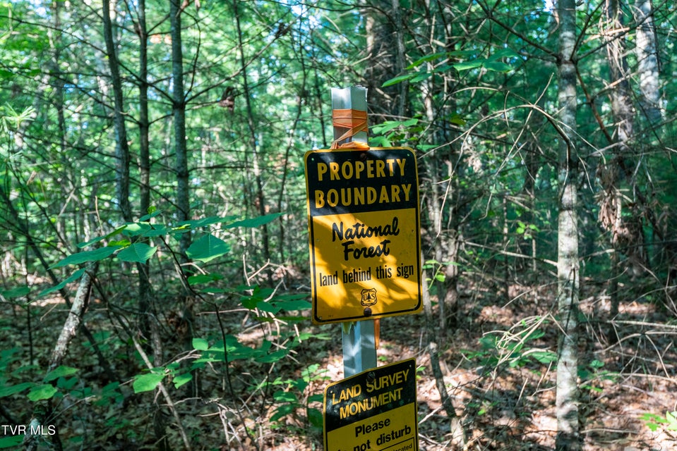 Photo #20: Tbd Patty Branch Road