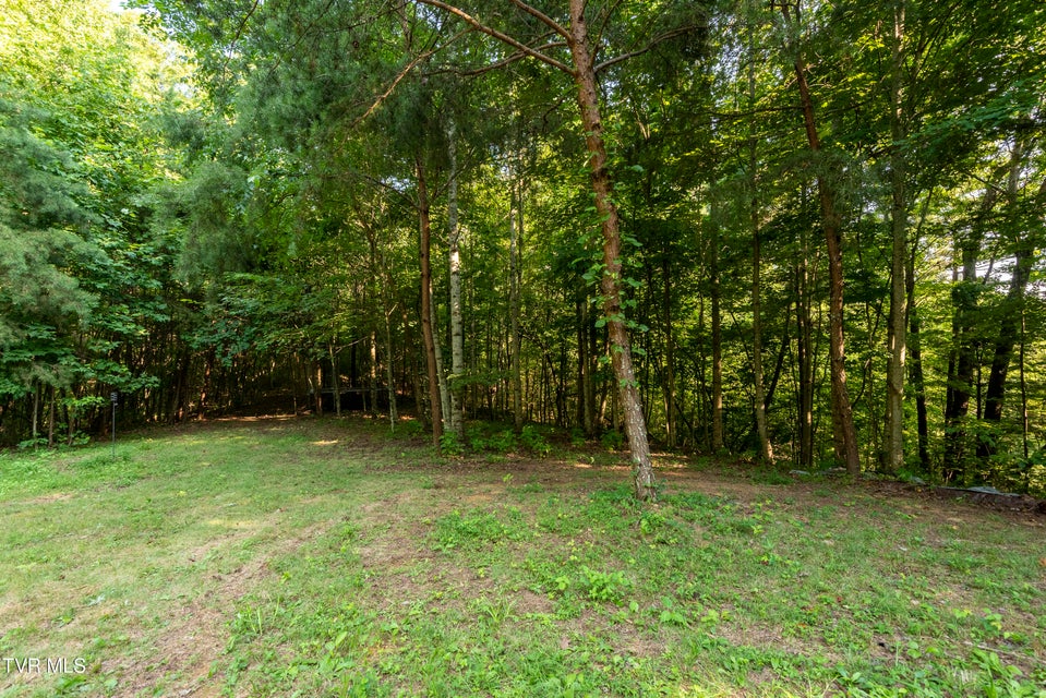 Photo #12: Tbd Patty Branch Road