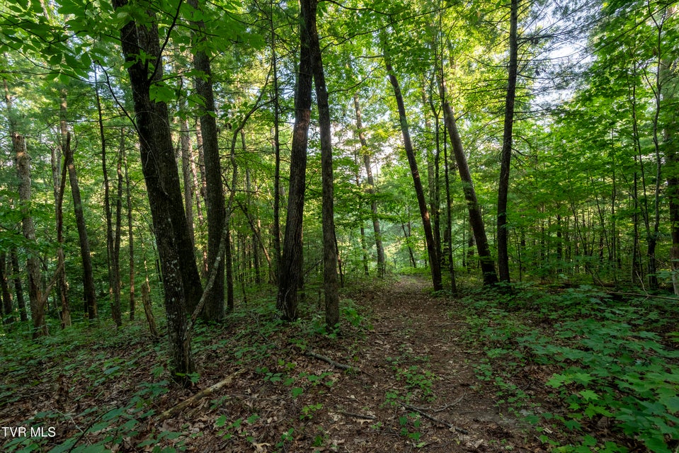 Photo #21: Tbd Patty Branch Road