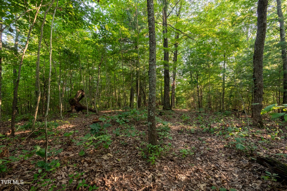 Photo #22: Tbd Patty Branch Road