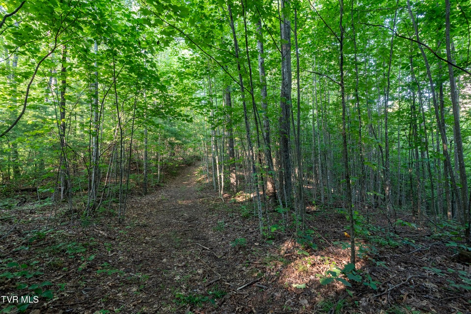 Photo #24: Tbd Patty Branch Road