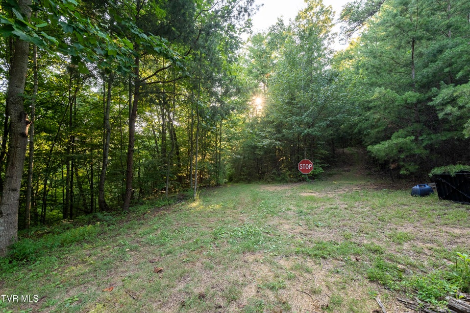 Photo #11: Tbd Patty Branch Road