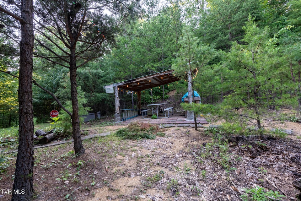 Photo #9: Tbd Patty Branch Road