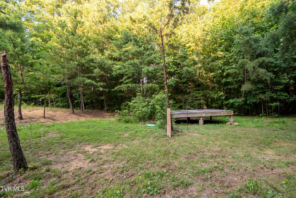 Photo #10: Tbd Patty Branch Road