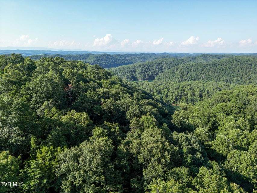 Photo #29: Tbd Patty Branch Road
