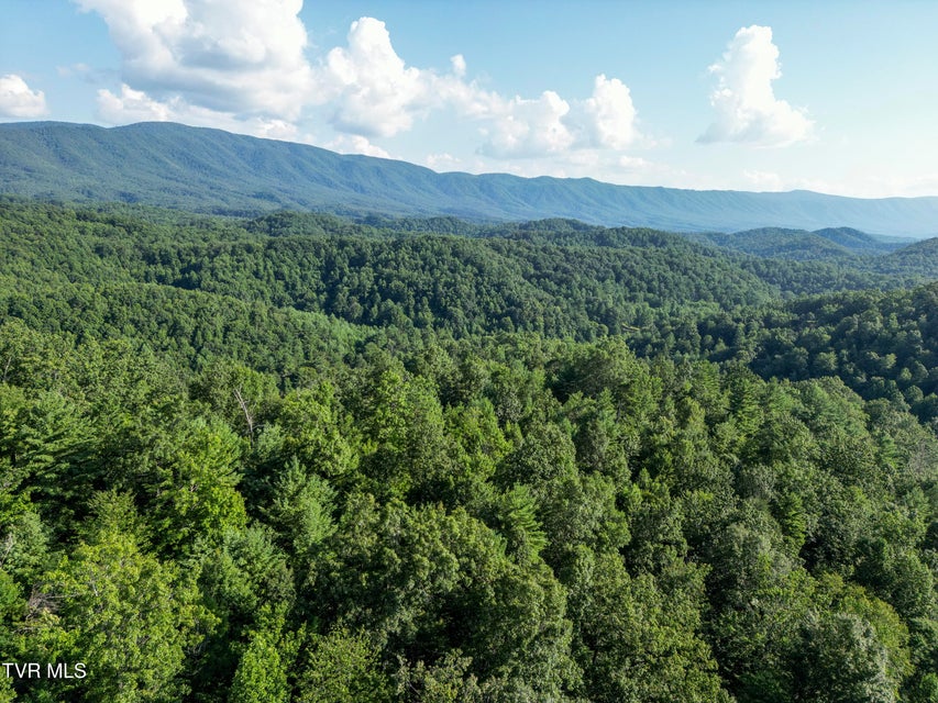 Photo #31: Tbd Patty Branch Road