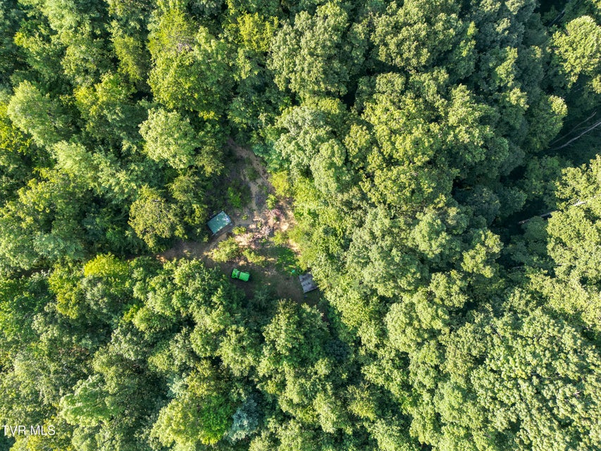 Photo #3: Tbd Patty Branch Road