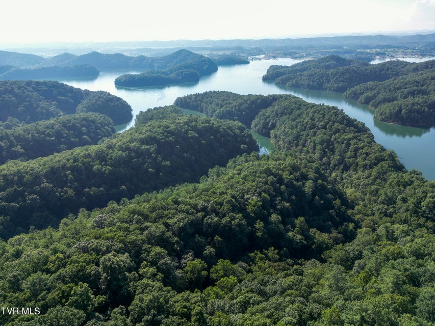 Photo #28: Tbd Patty Branch Road