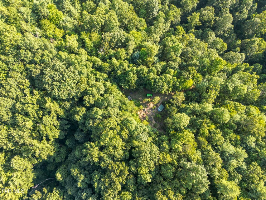 Photo #2: Tbd Patty Branch Road