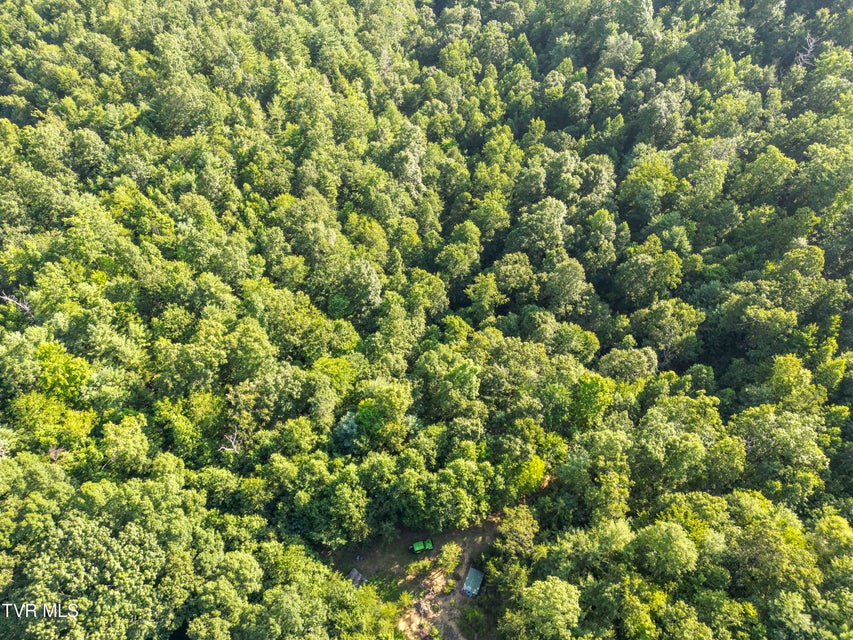Photo #4: Tbd Patty Branch Road