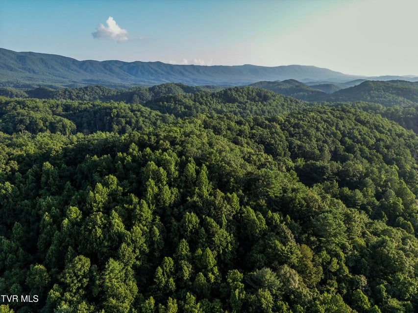 Photo #35: Tbd Patty Branch Road