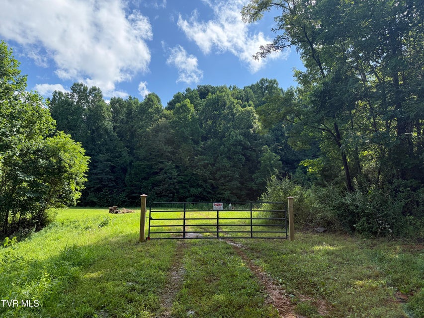 Photo #6: 105 Tailwater Road