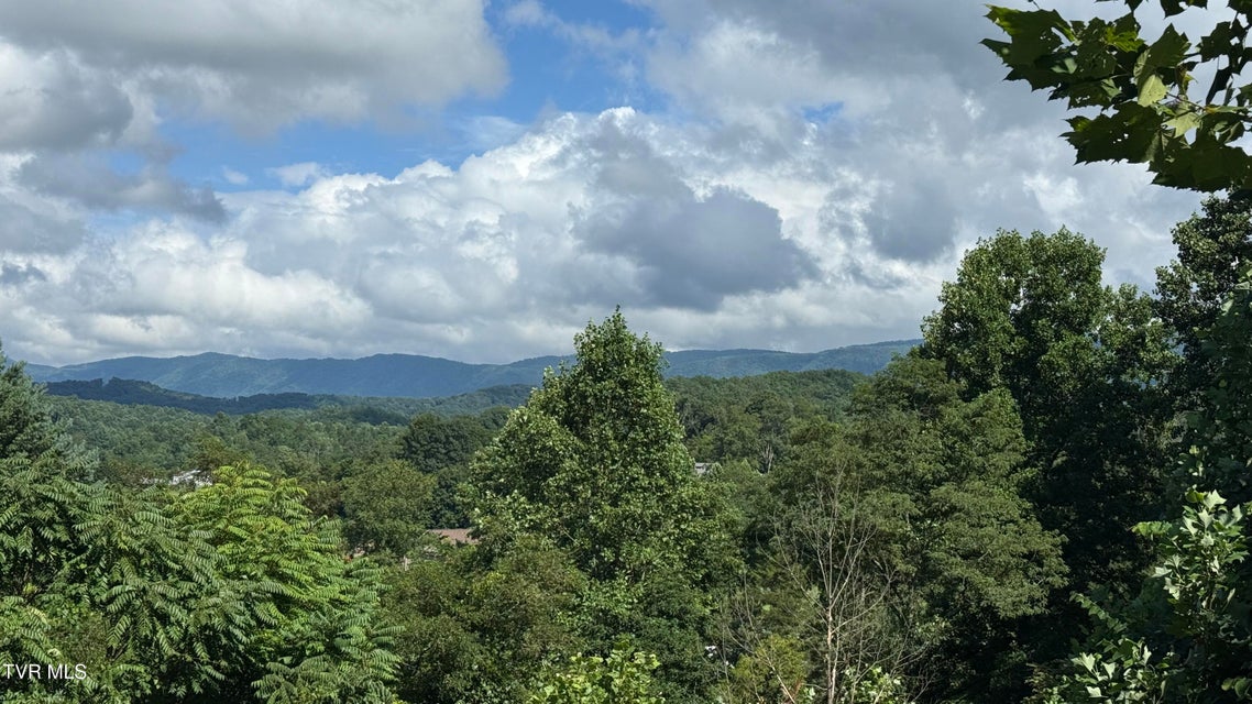 Photo #15: 105 Tailwater Road