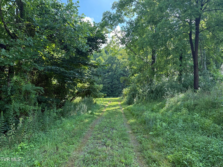 Photo #5: 105 Tailwater Road