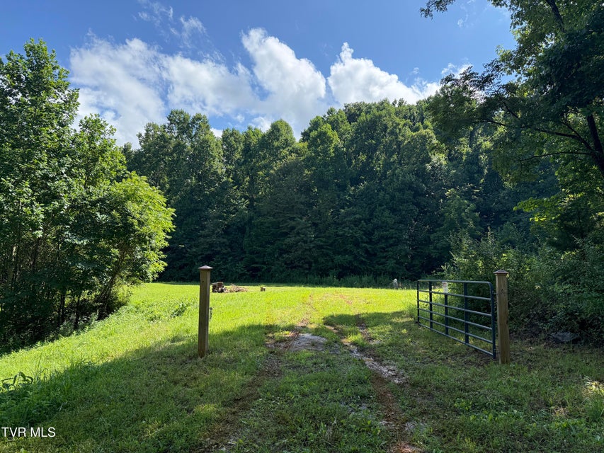 Photo #7: 105 Tailwater Road