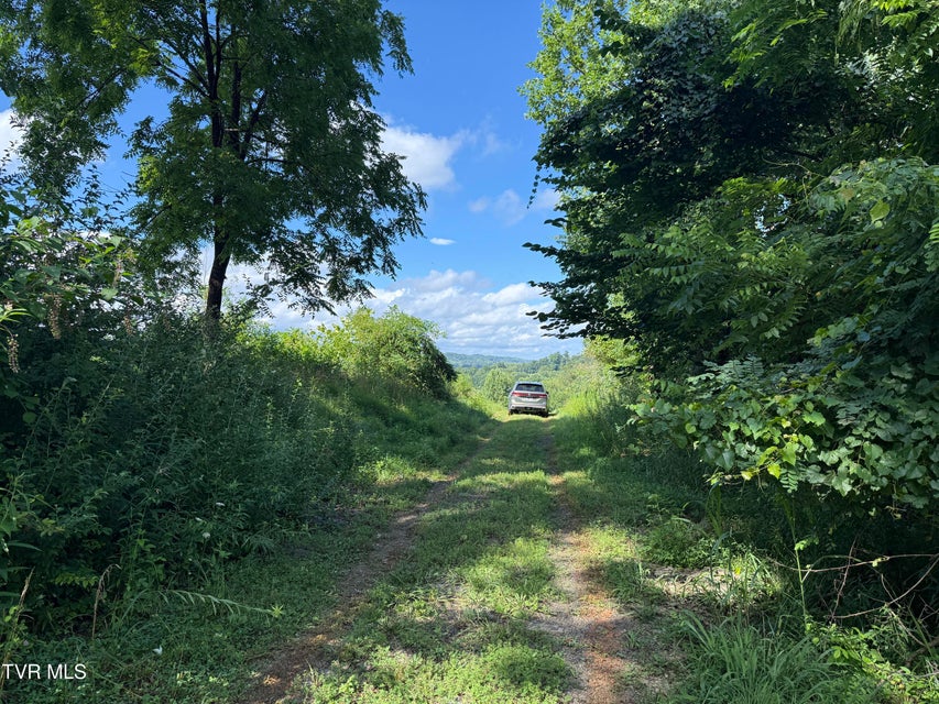 Photo #4: 105 Tailwater Road