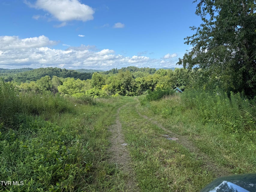 Photo #3: 105 Tailwater Road