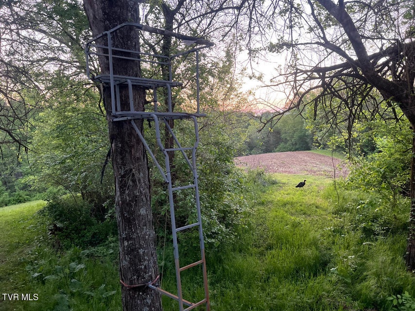 Photo #10: 4045 Mohawk Road