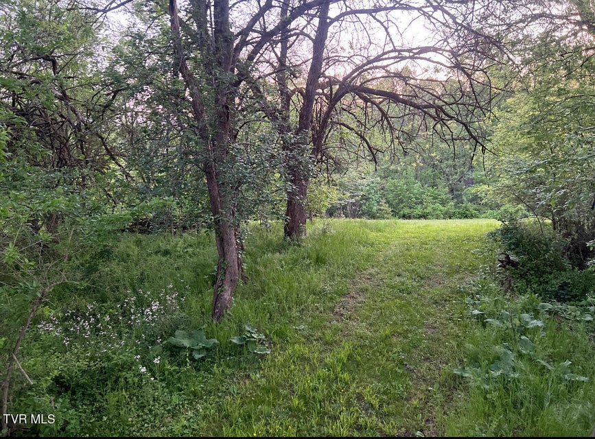 Photo #16: 4045 Mohawk Road