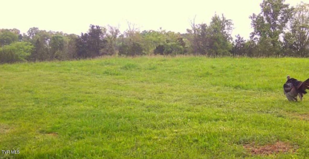 Photo #18: 4045 Mohawk Road