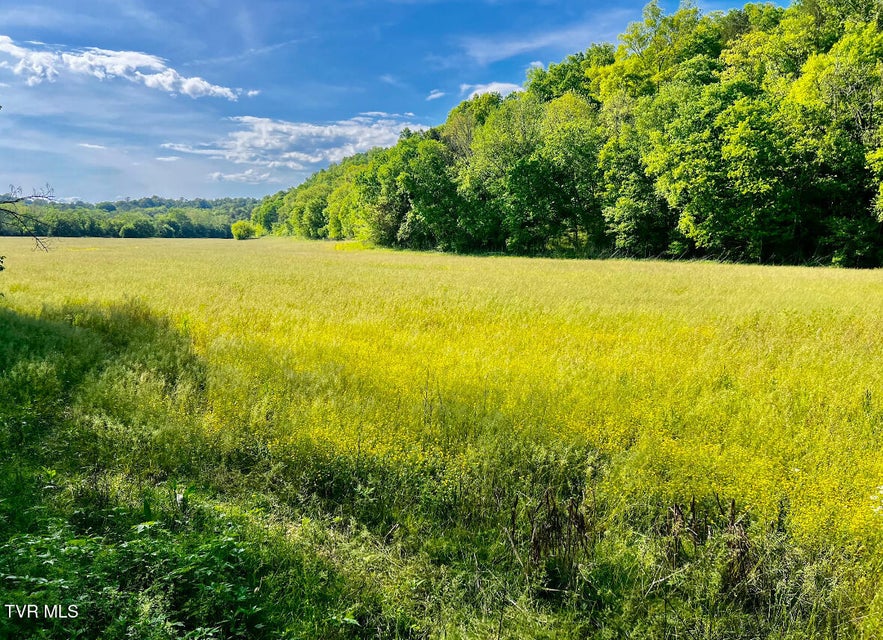 Photo #22: 4045 Mohawk Road