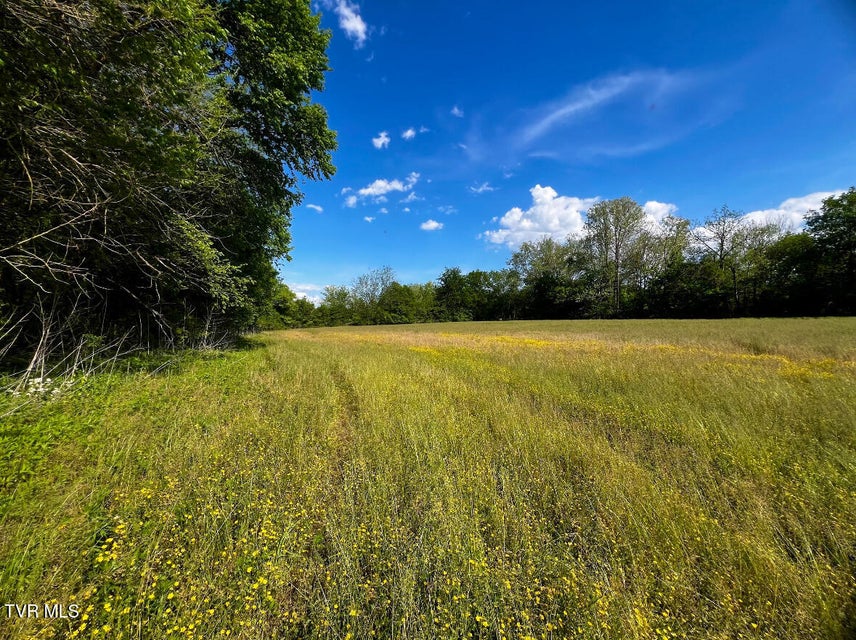 Photo #23: 4045 Mohawk Road