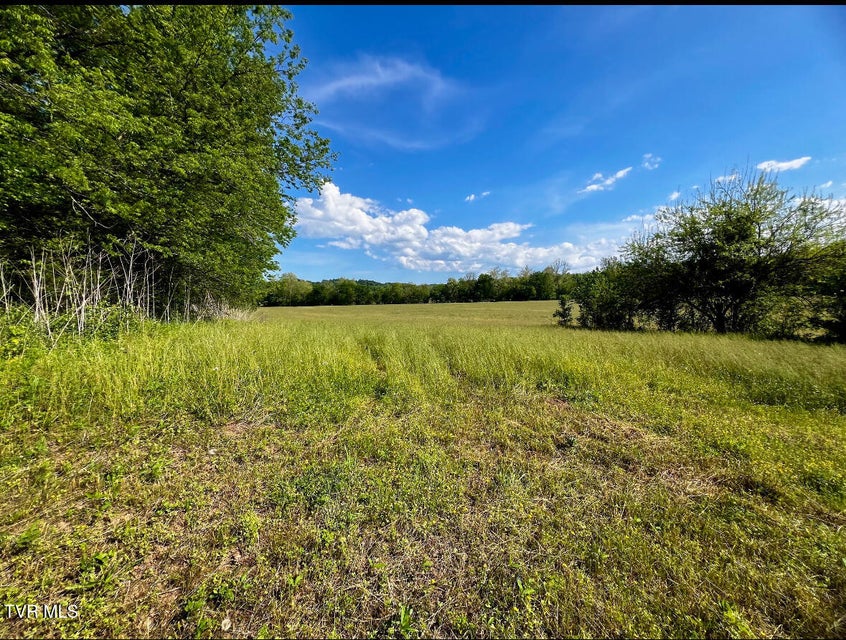 Photo #24: 4045 Mohawk Road
