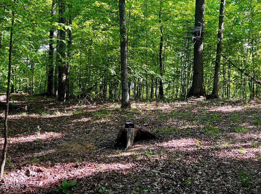 Photo #28: 4045 Mohawk Road