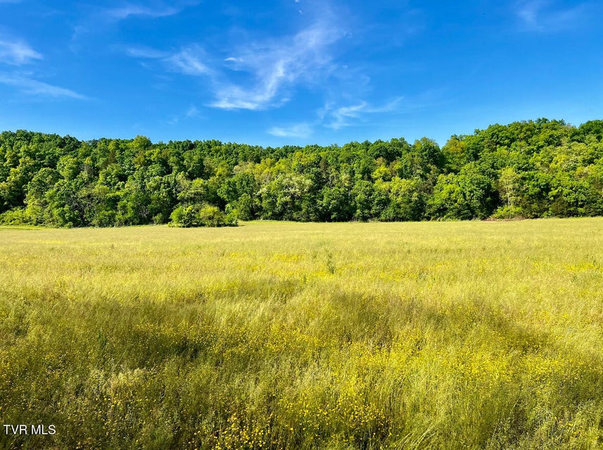 Photo #37: 4045 Mohawk Road