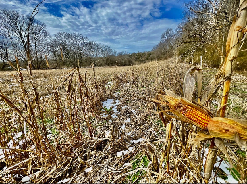 Photo #40: 4045 Mohawk Road