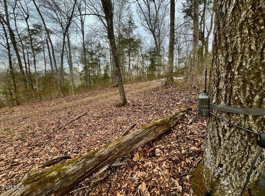 Photo #41: 4045 Mohawk Road