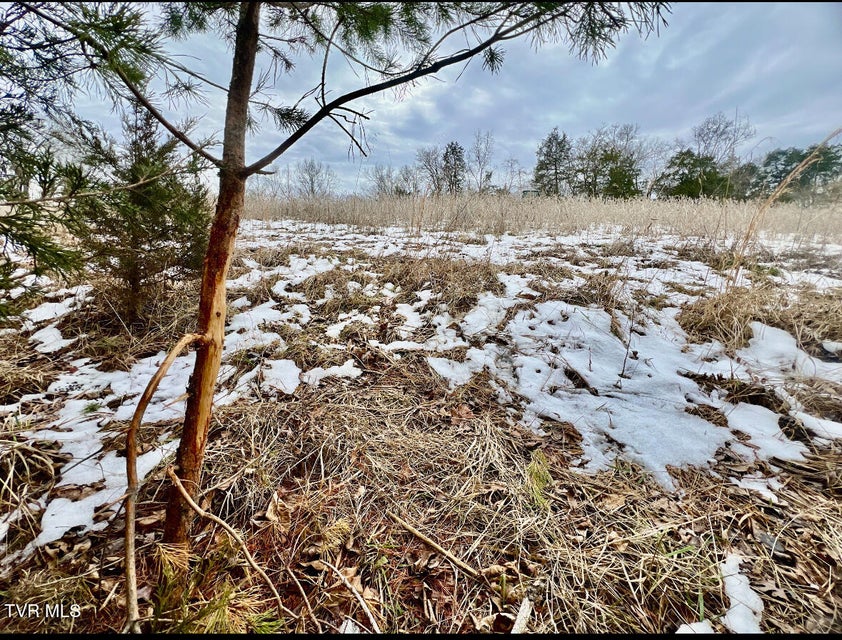 Photo #44: 4045 Mohawk Road