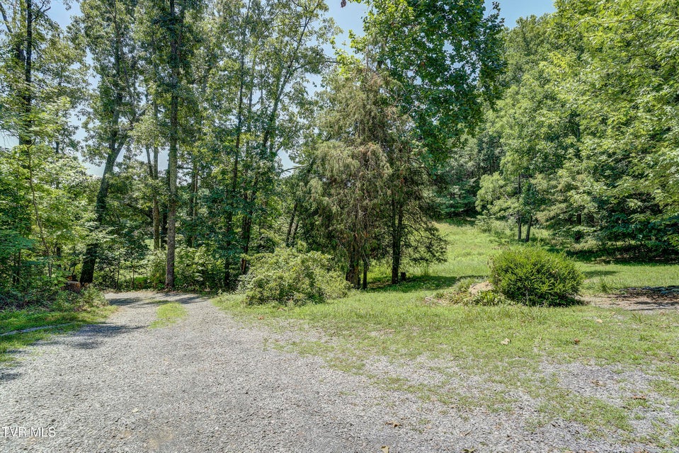 Photo #45: 137 Forester Lane