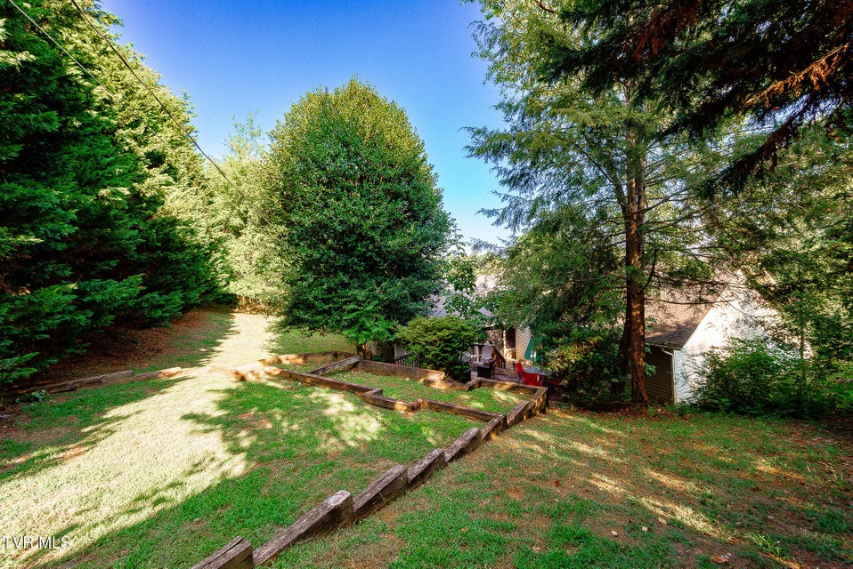 Photo #46: 904 Broadwood Drive