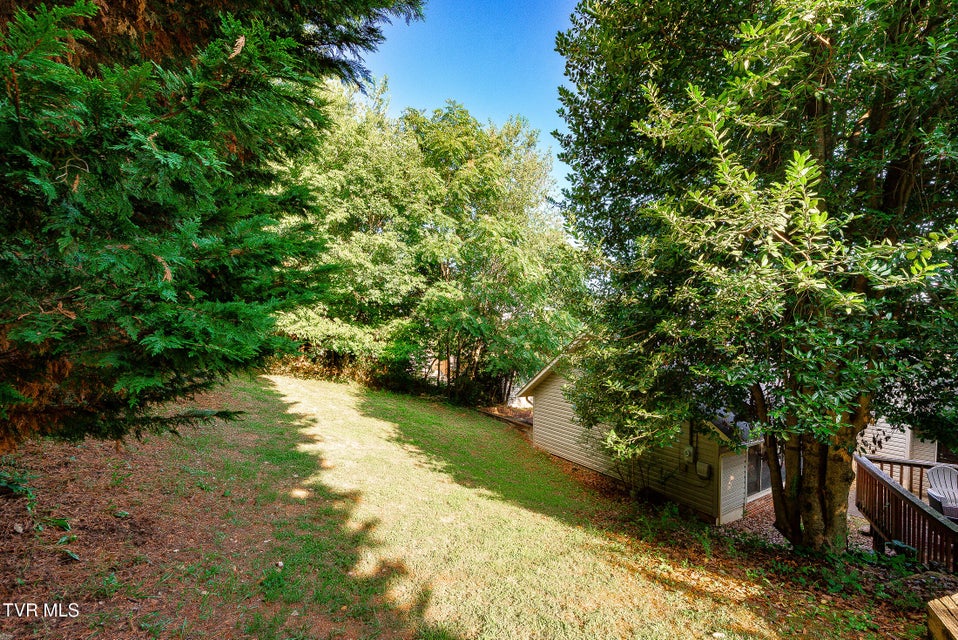 Photo #48: 904 Broadwood Drive