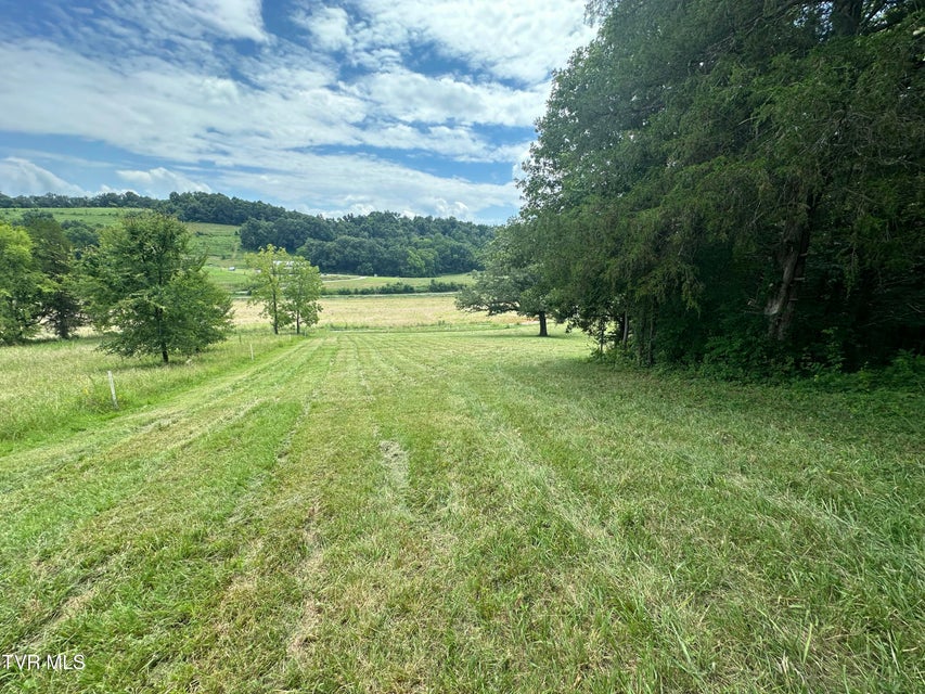 Photo #41: 2044 Pigeon Creek Road