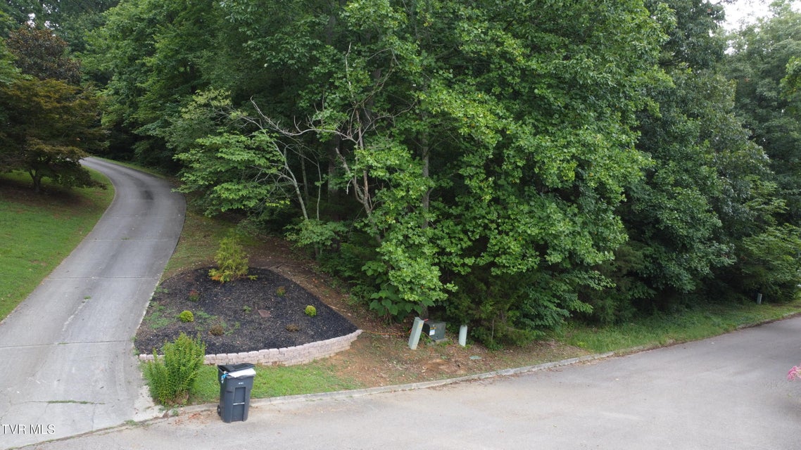 Photo #3: 3641 Meadowland Drive