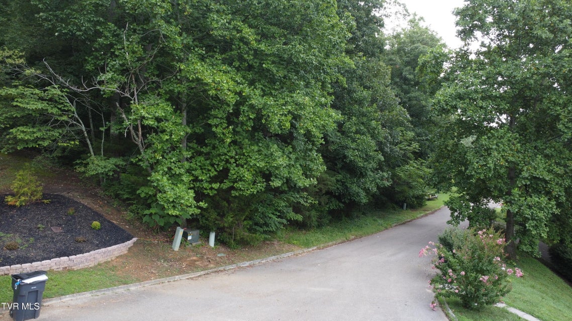 Photo #5: 3641 Meadowland Drive