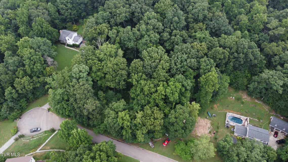 Photo #7: 3641 Meadowland Drive