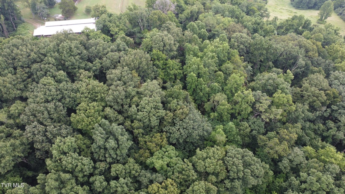 Photo #8: 3641 Meadowland Drive