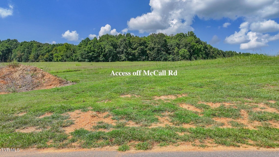 Photo #5: 170 Mccall Road