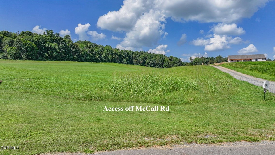 Photo #6: 170 Mccall Road