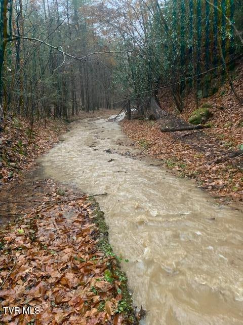 Photo #38: Tbd Patty Branch Road