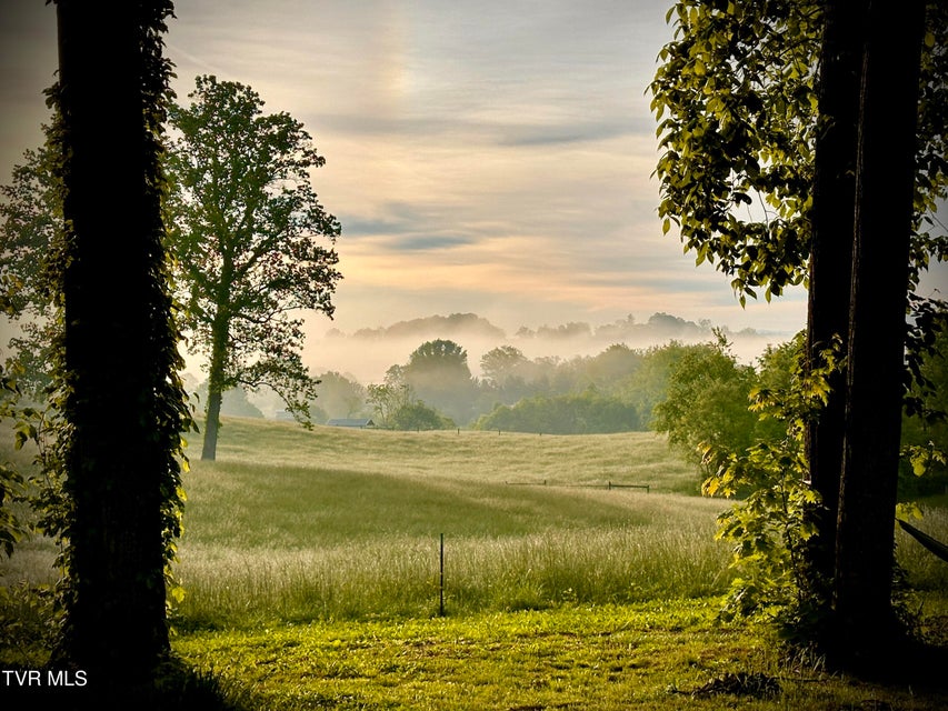 Photo #72: 230 Picadilly Lane