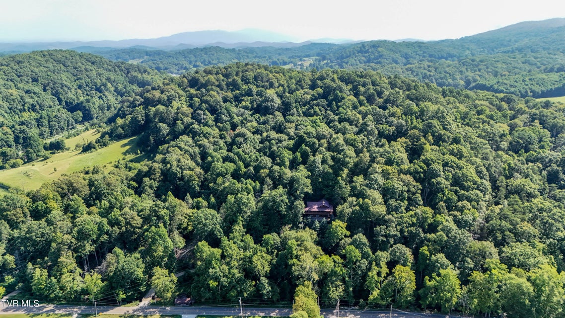 Photo #66: 665 Laurels Road