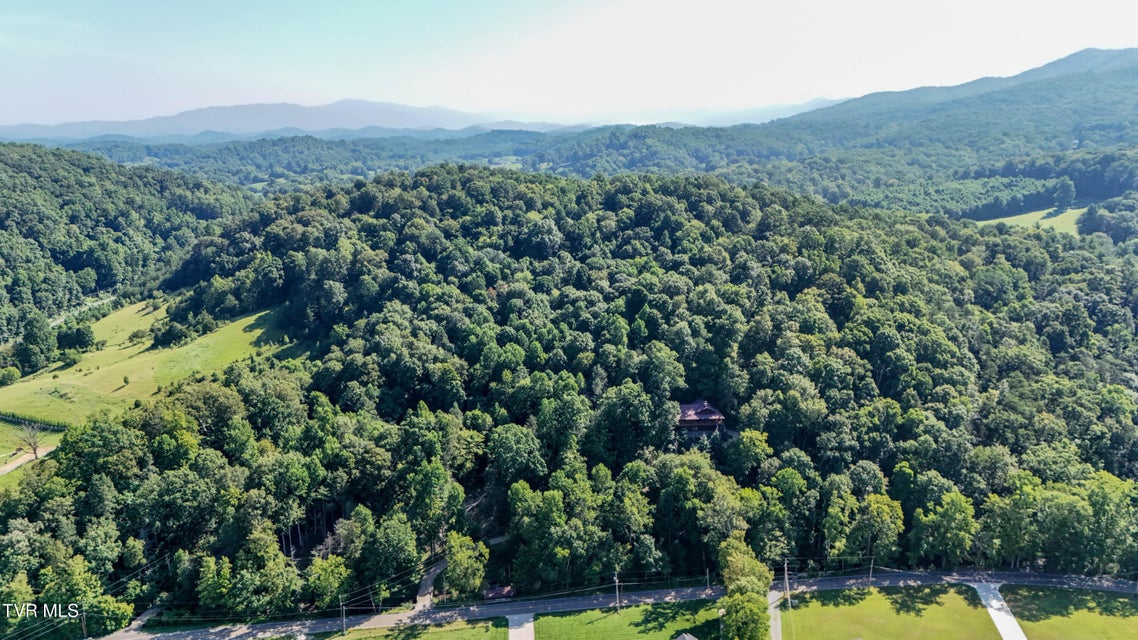Photo #67: 665 Laurels Road