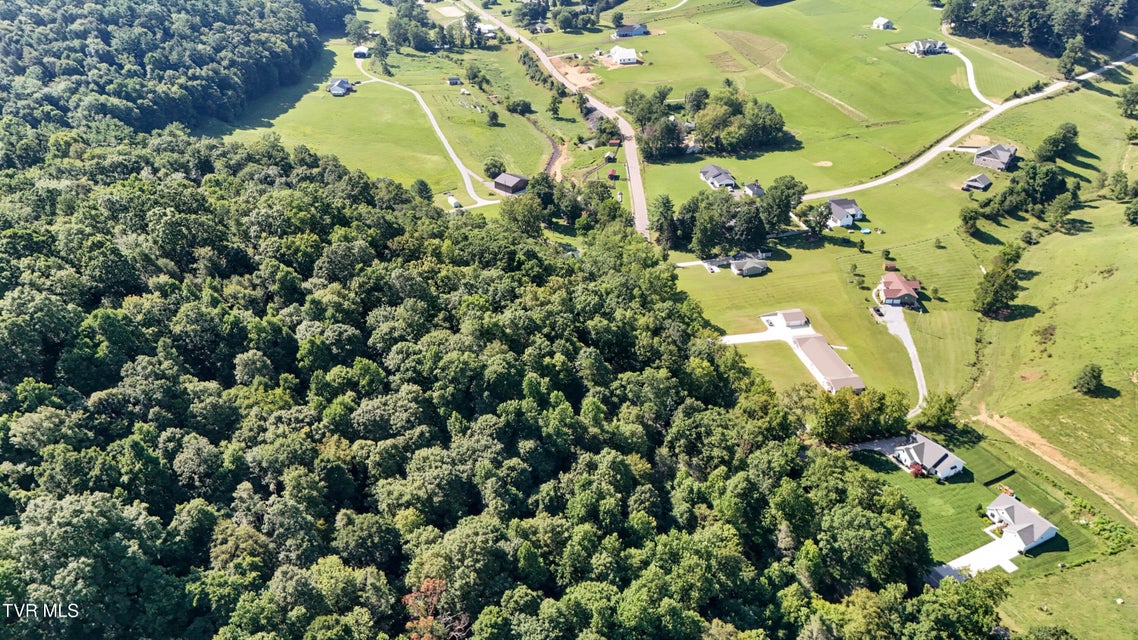 Photo #71: 665 Laurels Road