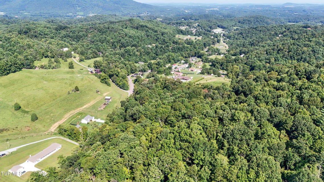 Photo #73: 665 Laurels Road