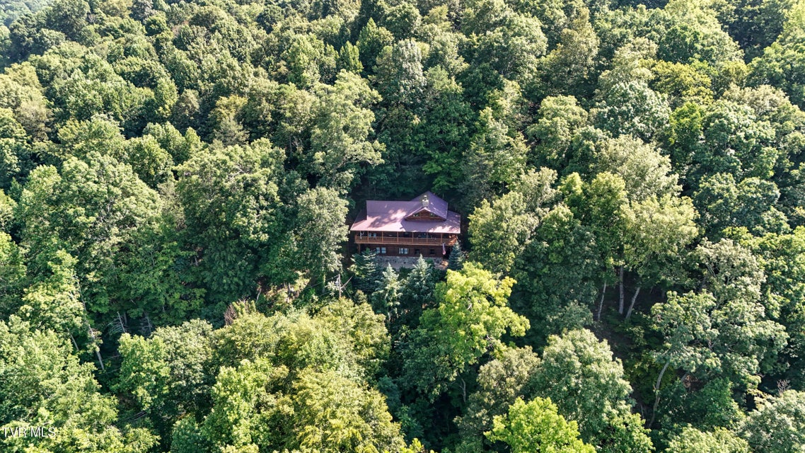 Photo #79: 665 Laurels Road